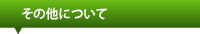 その他について